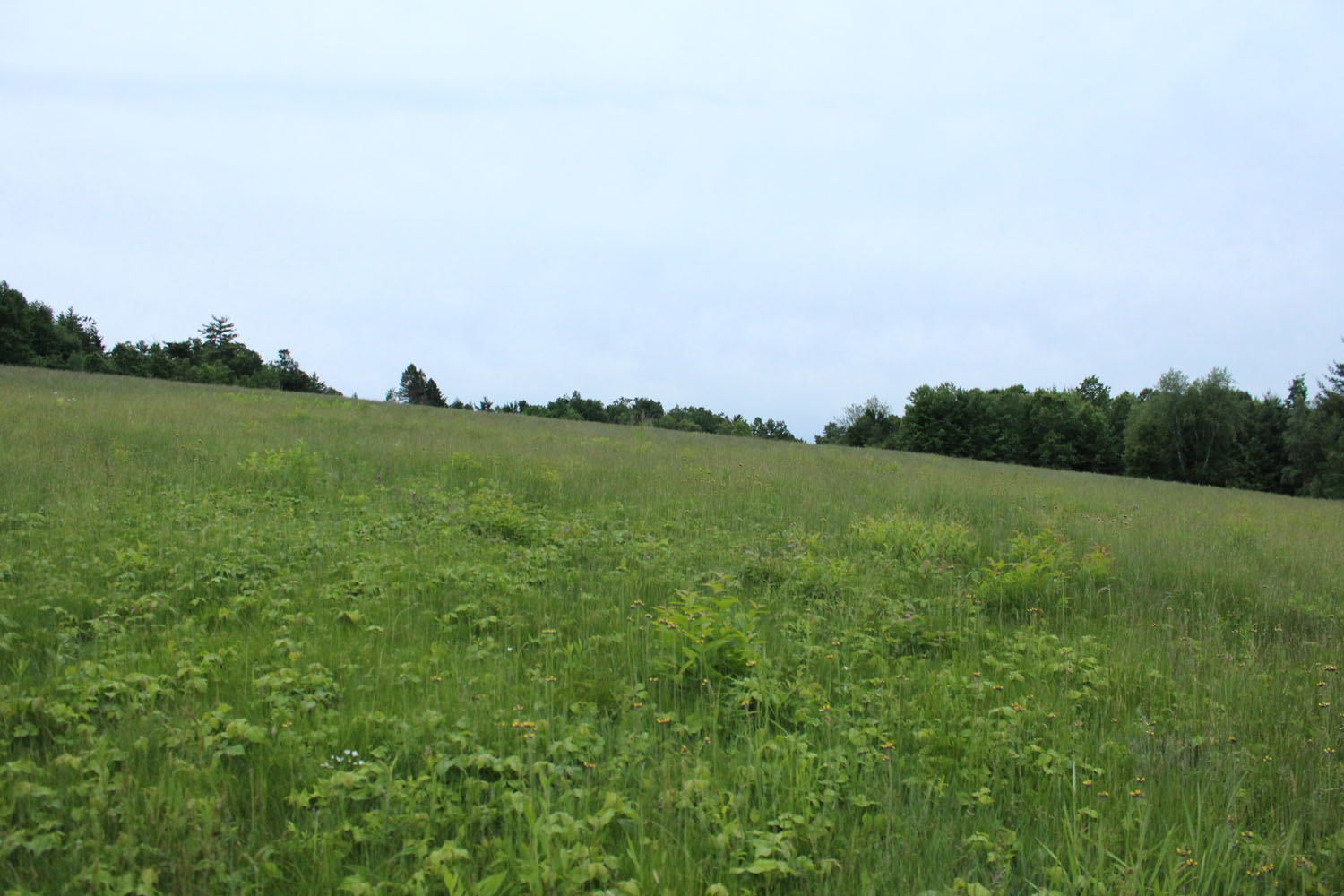 Fruitlands Museum, Harvard MA